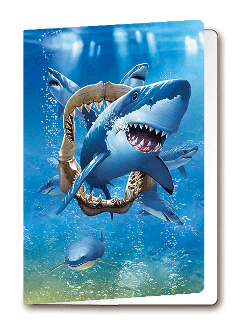 3D-0944: 3D Card Sharks (6pcs/pk)-zoom-