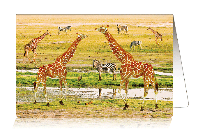 3D-0945: 3D Card Giraffes (6pcs/pk)-zoom-