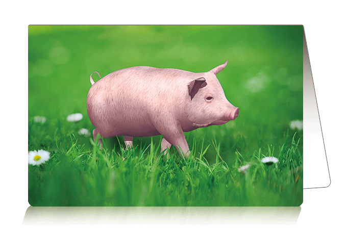 3D-0947: 3D Card Pig (6pcs/pk)-zoom-
