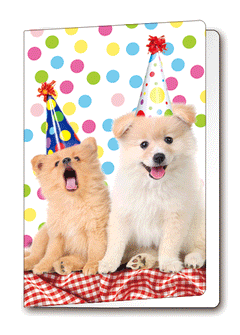 3D Card Puppies