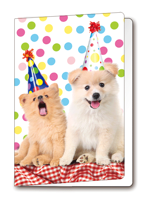3D Card Puppies