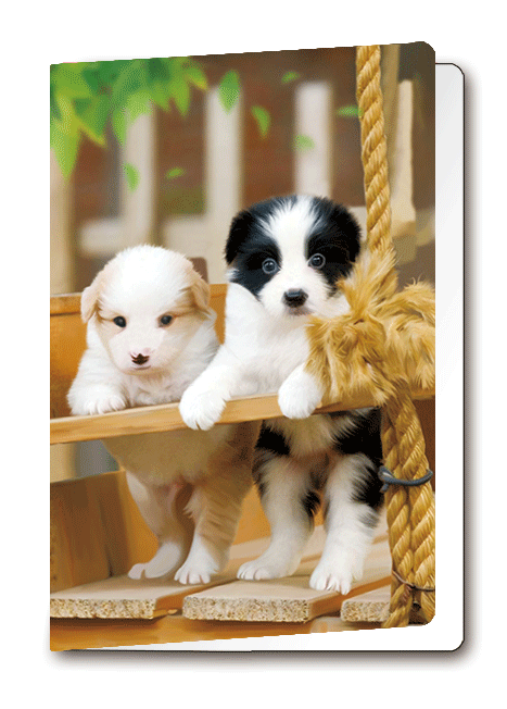 3D-0962: 3D Card Puppies (6pcs/pk)-zoom-