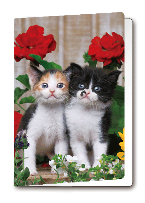 3D-0963: 3D Card Kittens (6pcs/pk)-zoom-