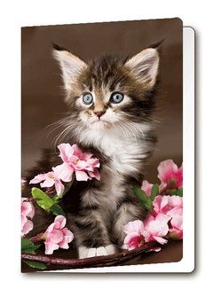 3D Card Kitten