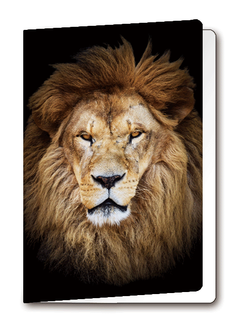 3D Card Lion