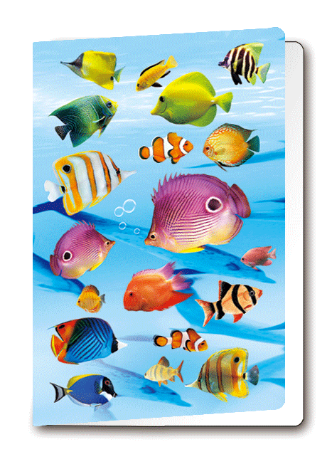 3D Card Fish