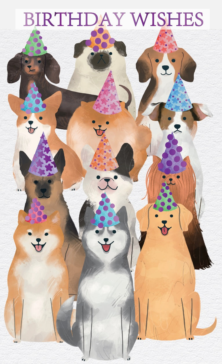 UC53964: Urban Female Birthday (12pcs/pk)