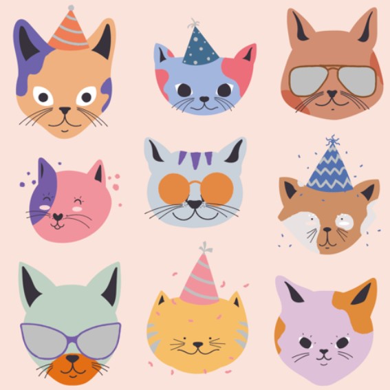 PC-559: Premium Design (12pcs/pk)-1