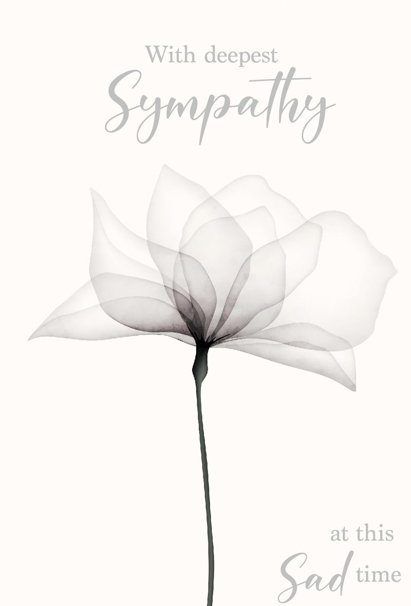 DLT002: Deluxe - Sympathy (12pcs/pk)-zoom-