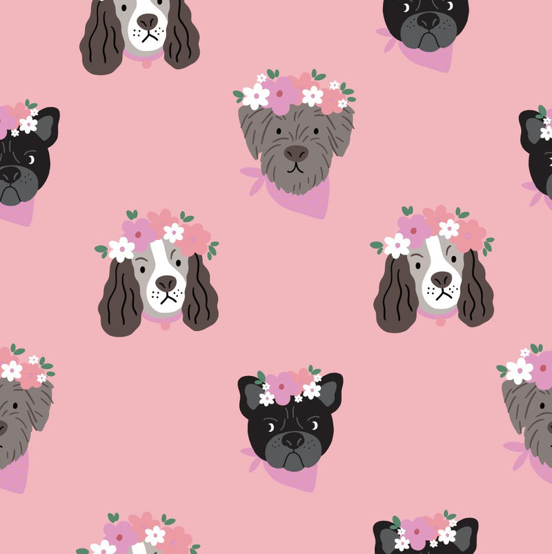 Premium Dogs (12pcs/pk)-zoom-