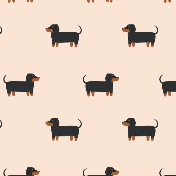 Premium dog (12pcs/pk)-zoom-