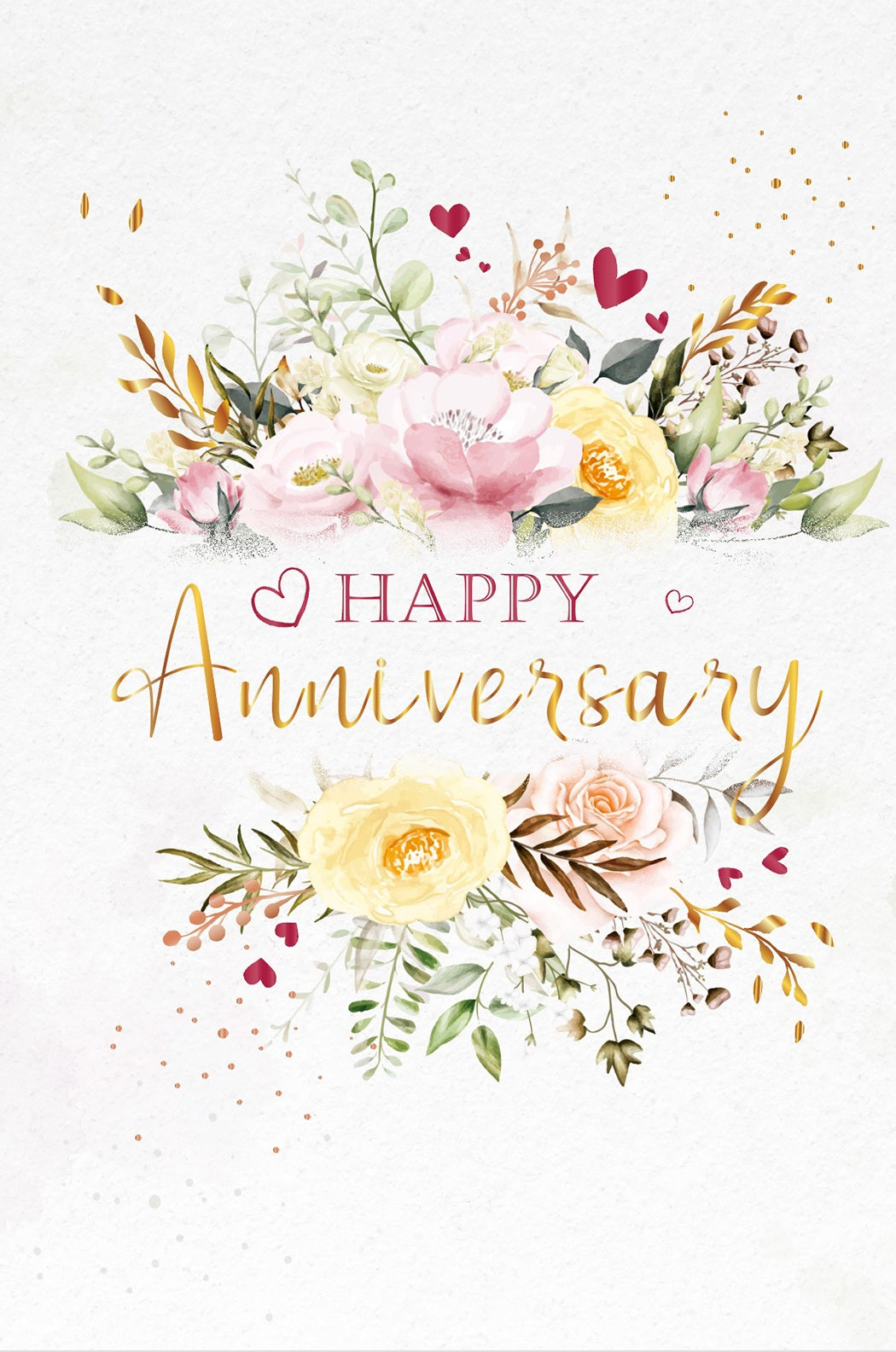 SO46501: Sophisticates Anniversary (6/pk)