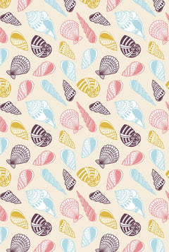 Tov Seashells