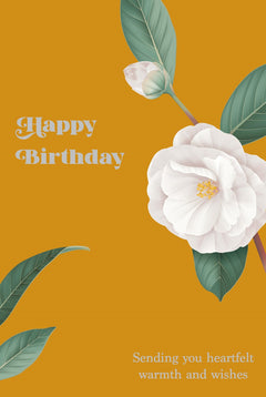 Tov Happy Birthday