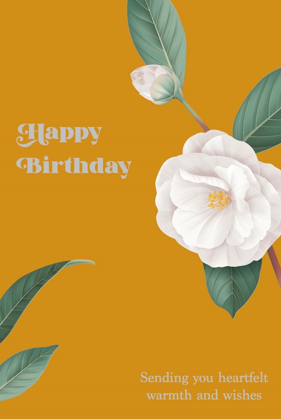 Tov Happy Birthday