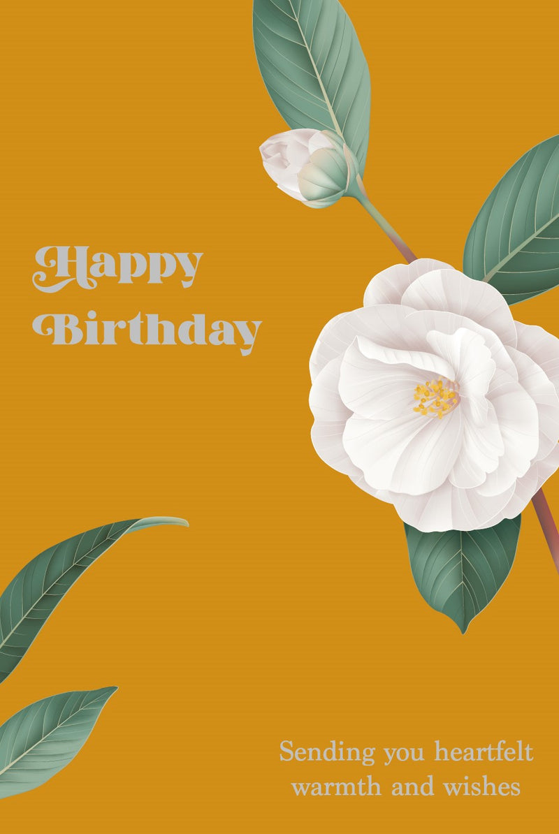 TV082: Tov Happy Birthday (12pcs/pk)-zoom-