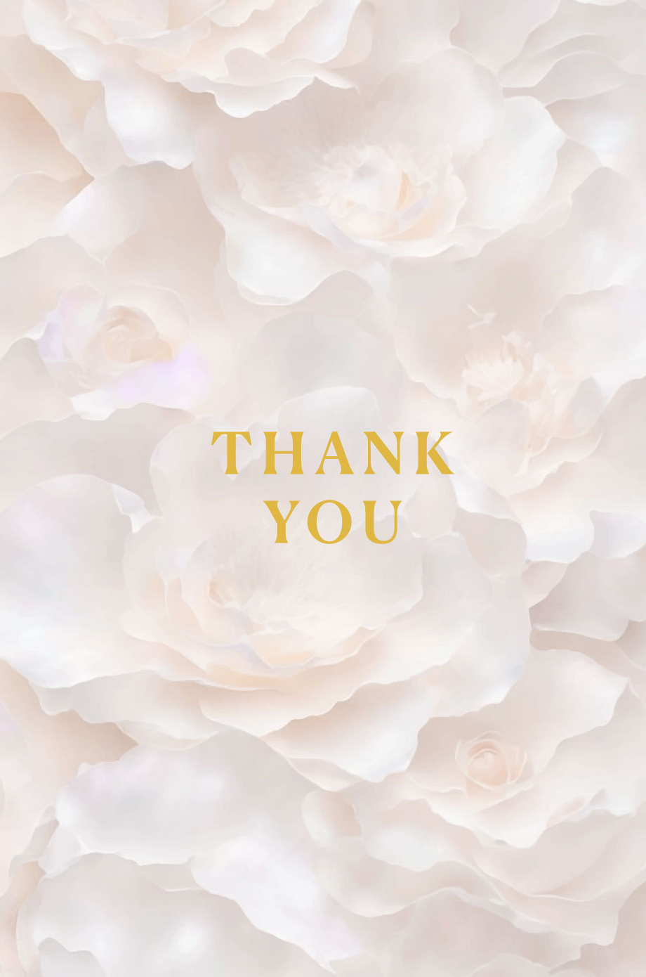 Tov Thank You