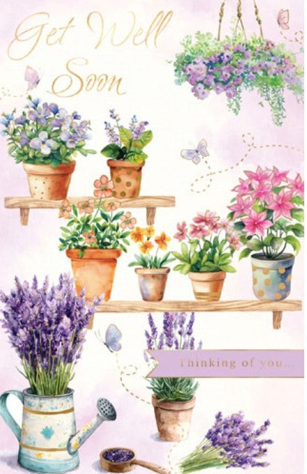 EL1636: Elegance Get Well (6pcs/pk)-zoom-1