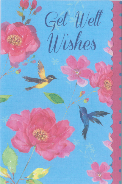 Elegance Get Well (6pcs/pk)-zoom-