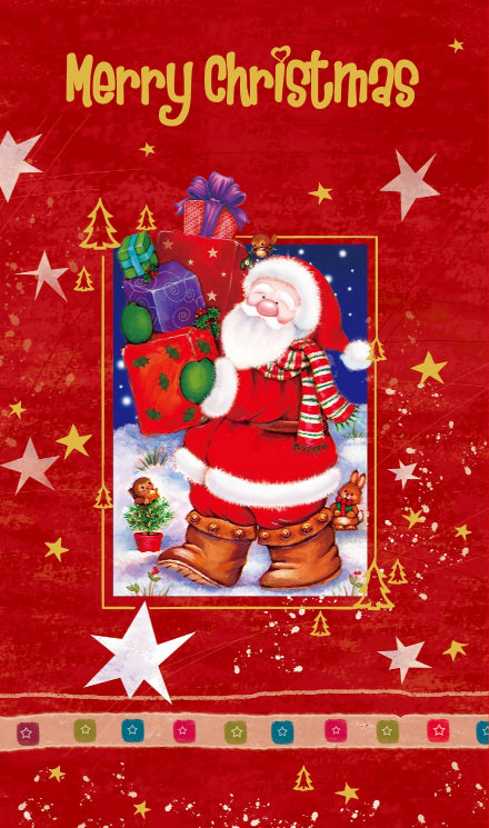 X-Mas $2 Card General (12pcs/pk)-zoom-