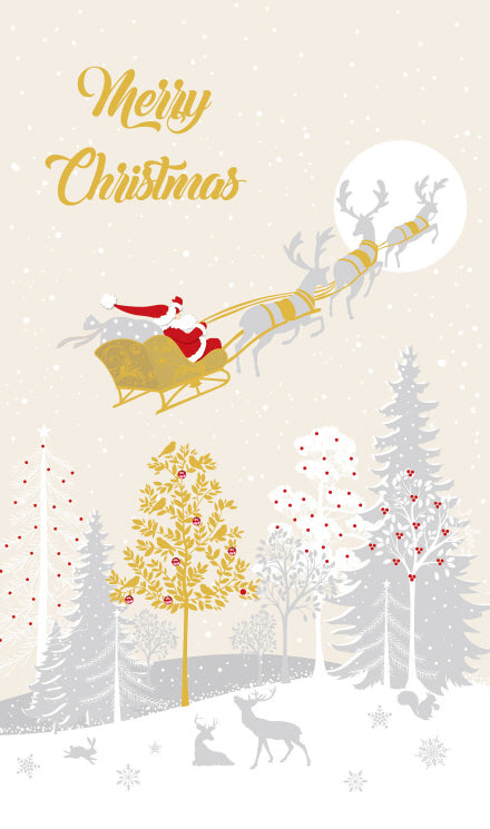 X-Mas $2 Card General