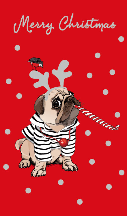 X-Mas $2 Card General