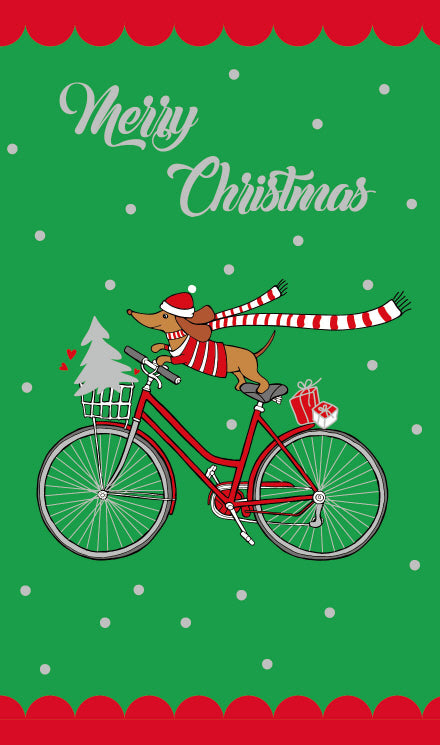 X-Mas $2 Card General (12pcs/pk)-zoom-