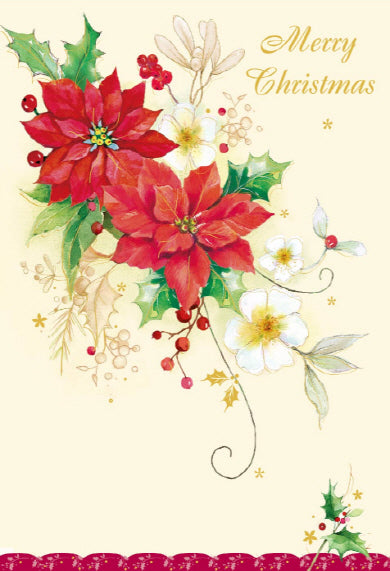 $2.5 Cards X-Mas