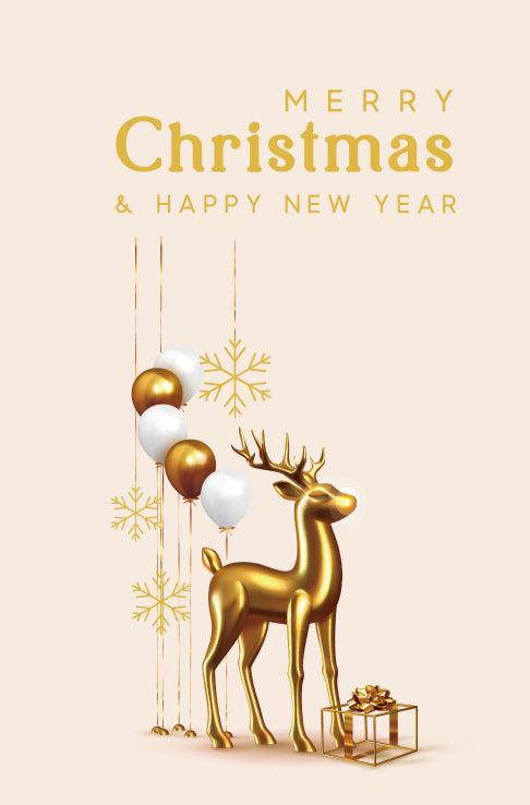 $3.90 Cards X-Mas