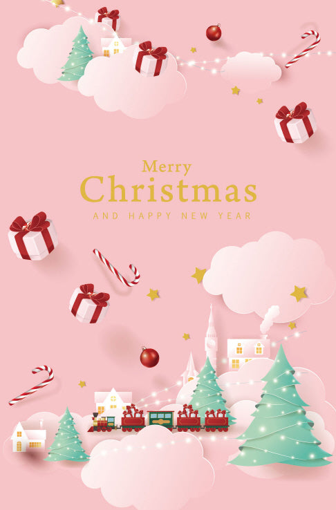$3.90 Cards X-Mas